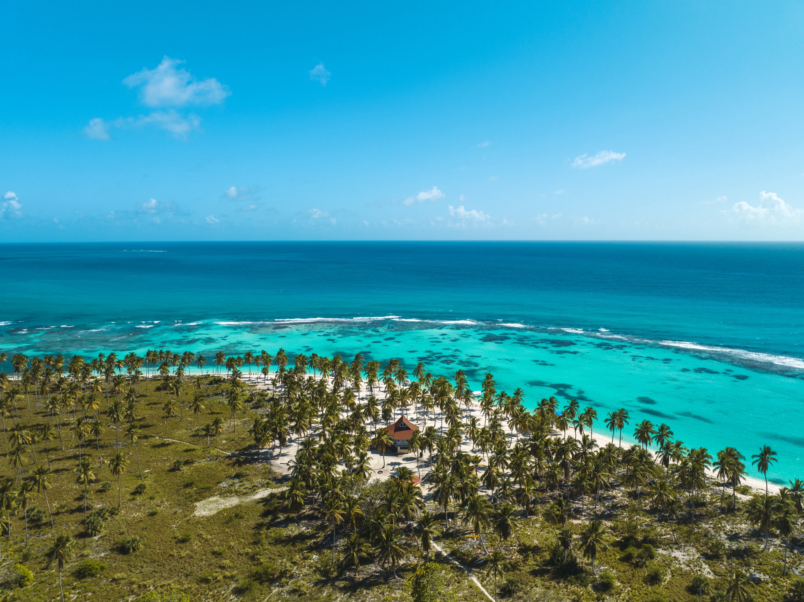 Mar turquesa y palmeras en la costa de Isla Saona