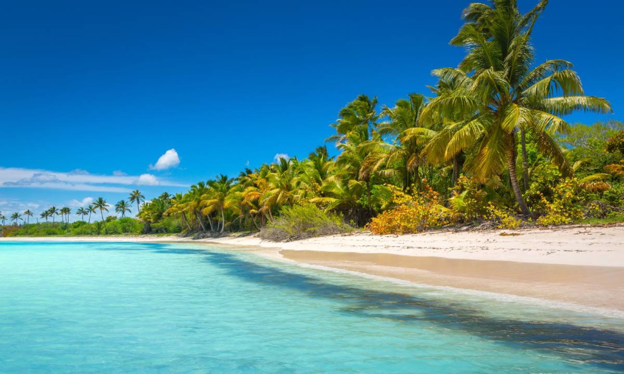 Playa de arena blanca y agua cristalina en Isla Saona
